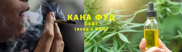 PSILOCYBIN Алзамай