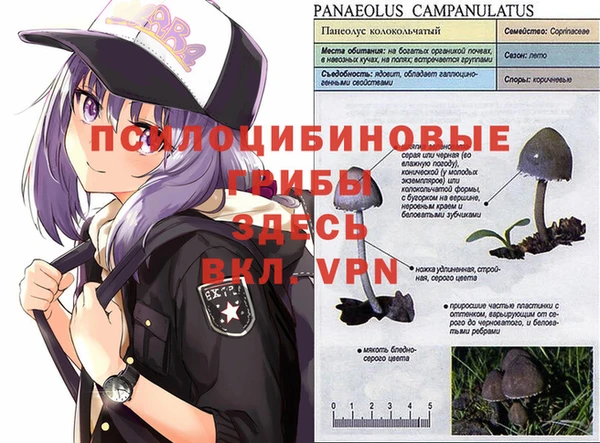 МДМА Алексин