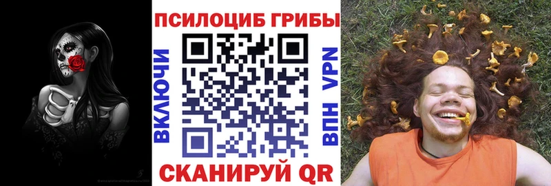 дарк нет официальный сайт  Ахтубинск  Галлюциногенные грибы MAGIC MUSHROOMS 