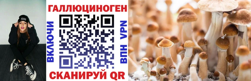 Псилоцибиновые грибы ЛСД Ахтубинск