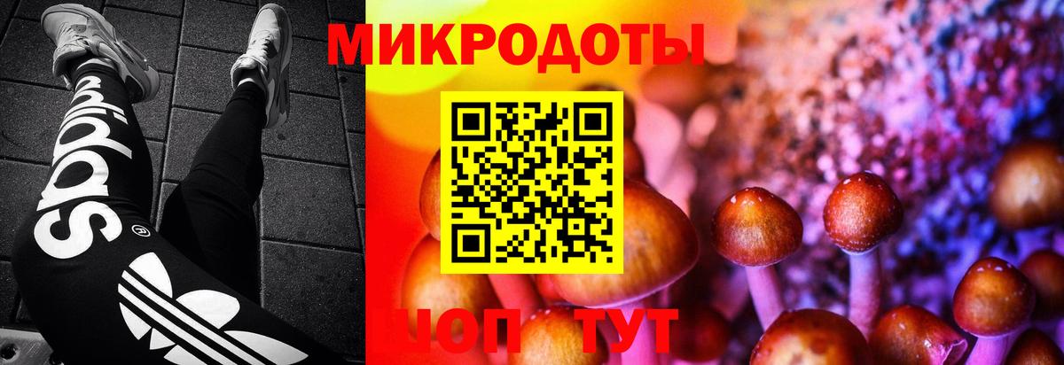 Ахтубинск  Псилоцибиновые грибы Magic Shrooms  Галлюциногенные грибы ЛСД  Вход с VPN 